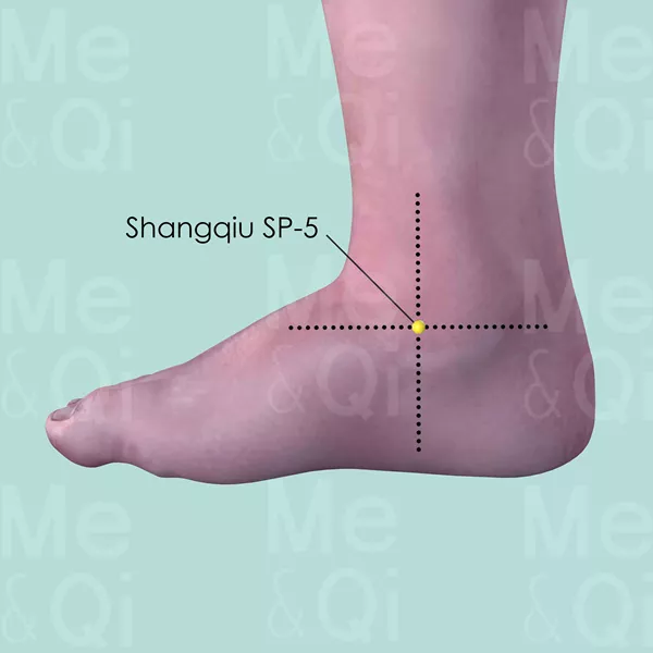 Shangqiu SP-5 - Skin view - Acupuncture point on Spleen Channel