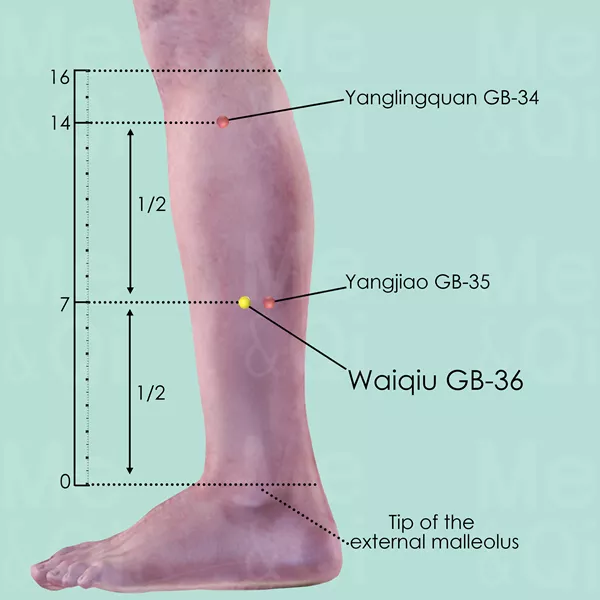 Waiqiu GB-36 - Skin view - Acupuncture point on Gall Bladder Channel