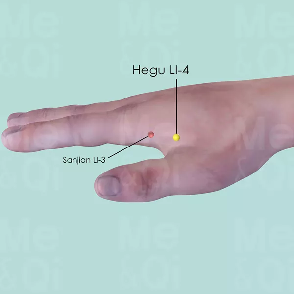 Hegu LI-4 - Skin view - Acupuncture point on Large Intestine Channel