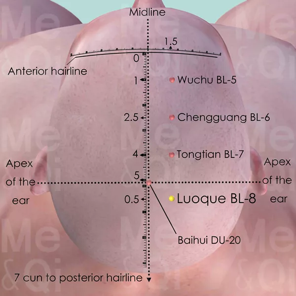 Luoque BL-8 - Skin view - Acupuncture point on Bladder Channel