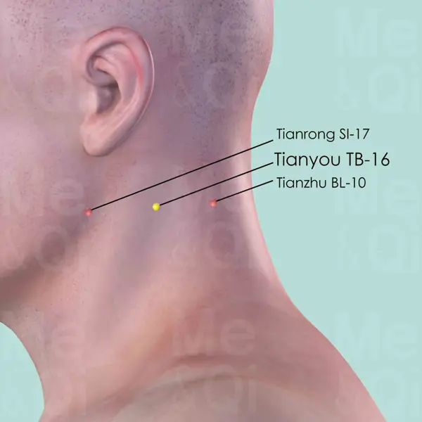 Tianyou SJ-16 location