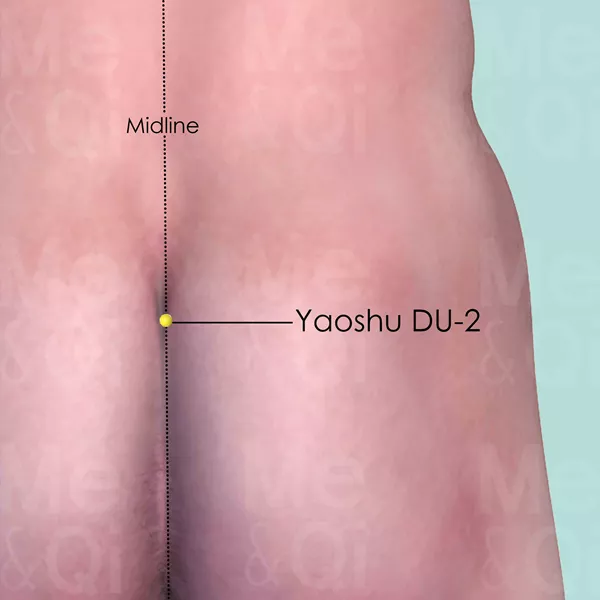 Yaoshu DU-2 - Skin view - Acupuncture point on Governing Vessel
