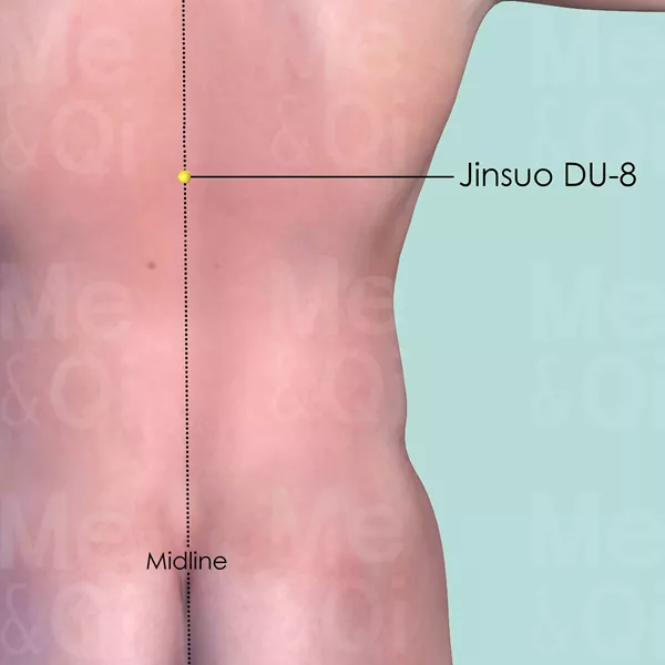 Jinsuo DU-8 - Skin view - Acupuncture point on Governing Vessel