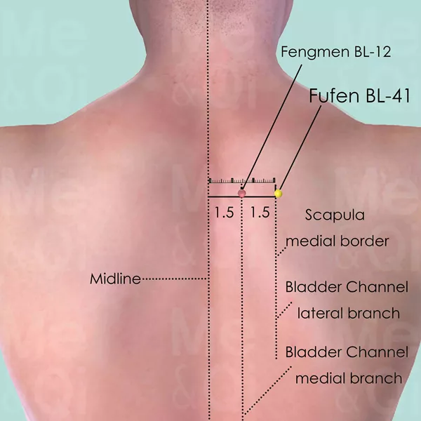 Fufen BL-41 - Skin view - Acupuncture point on Bladder Channel