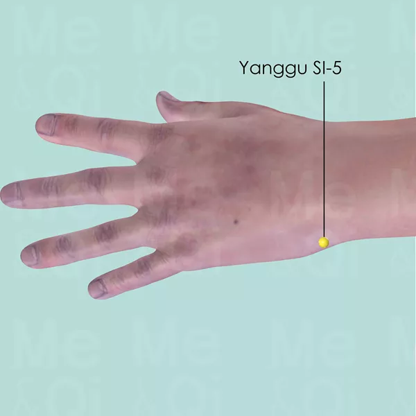 Yanggu SI-5 - Skin view - Acupuncture point on Small Intestine Channel