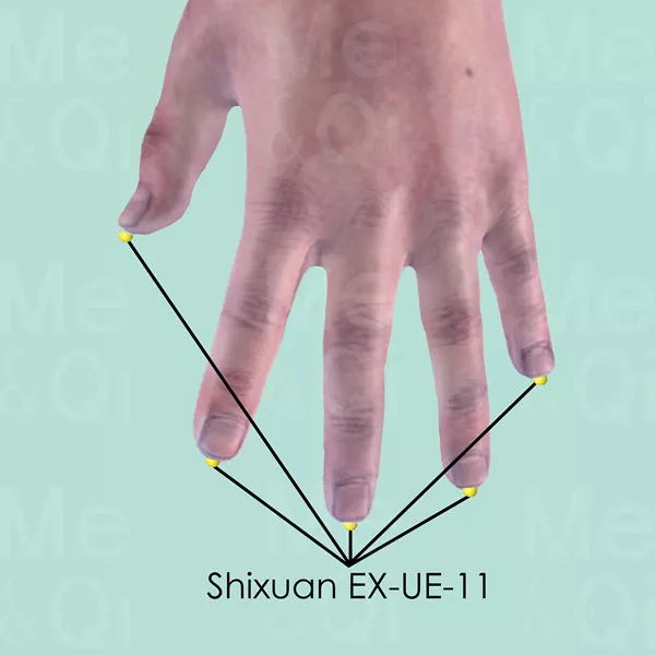 Shixuan EX-UE-11 - Skin view - Acupuncture point on Extra Points: Upper Extremities (EX-UE)