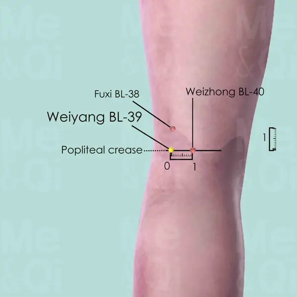 Weiyang BL-39 location