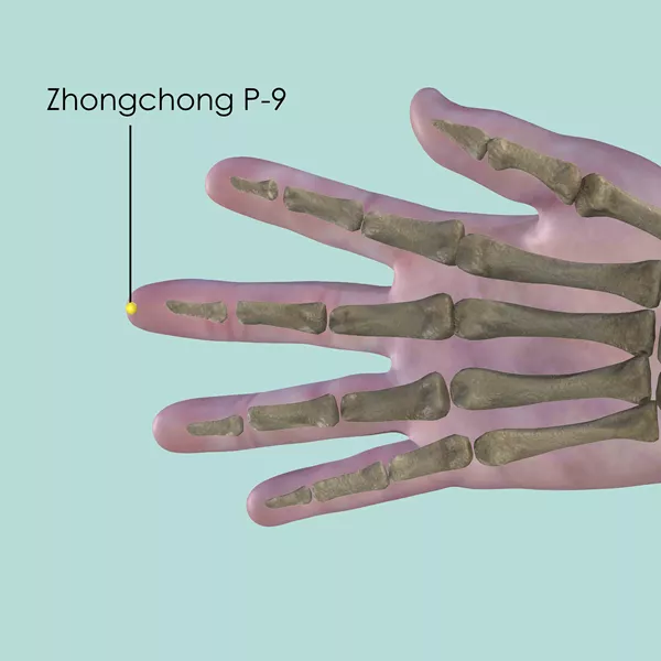 Zhongchong P-9 - Bones view - Acupuncture point on Pericardium Channel