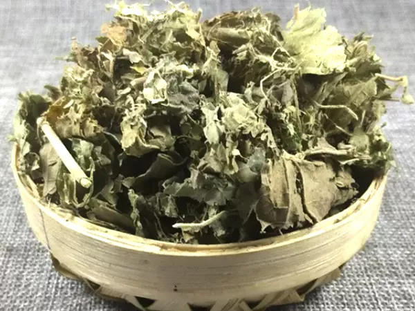 What Hibiscus leaf looks like as a TCM ingredient