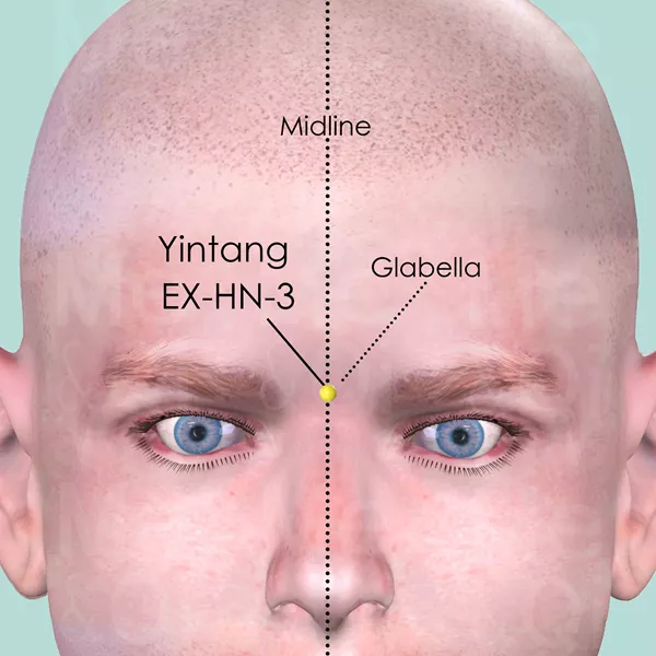 Yintang EX-HN-3 - Skin view - Acupuncture point on Extra Points: Head and Neck (EX-HN)