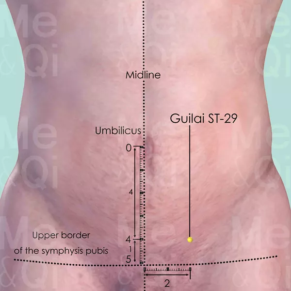 Guilai ST-29 - Skin view - Acupuncture point on Stomach Channel