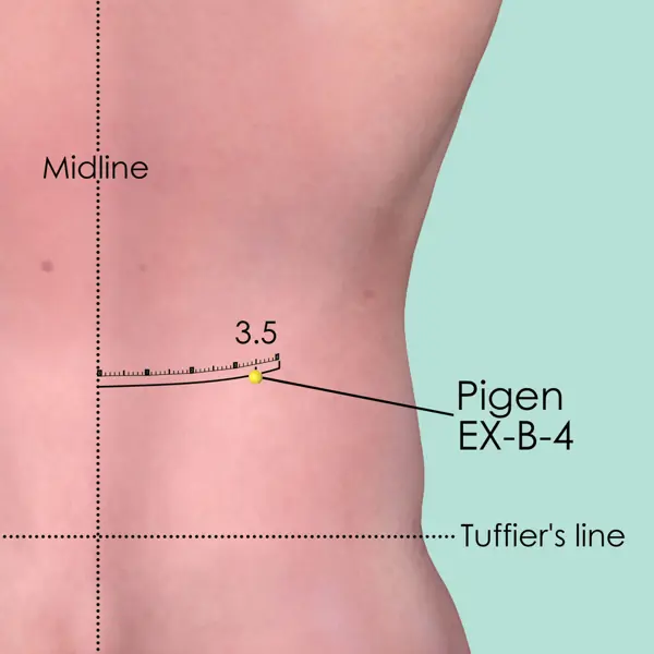 Pigen EX-B-4 location