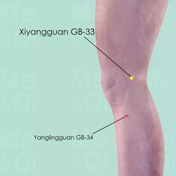 Xiyangguan GB-33 - Skin view - Acupuncture point on Gall Bladder Channel