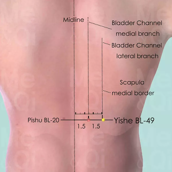 Yishe BL-49 - Skin view - Acupuncture point on Bladder Channel