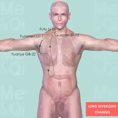 Lung Divergent Channel pathway