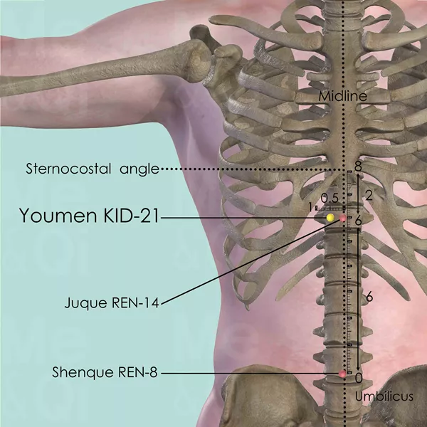 Youmen KID-21 - Bones view - Acupuncture point on Kidney Channel