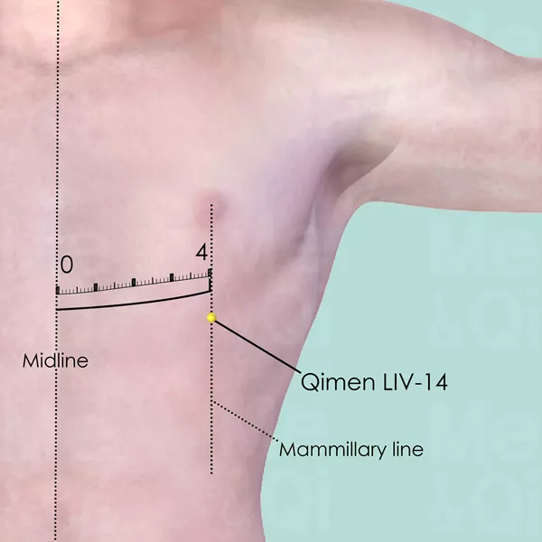 Qimen LIV-14 - Skin view - Acupuncture point on Liver Channel