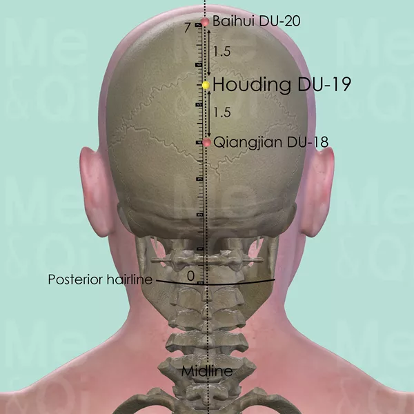 Houding DU-19 - Bones view - Acupuncture point on Governing Vessel