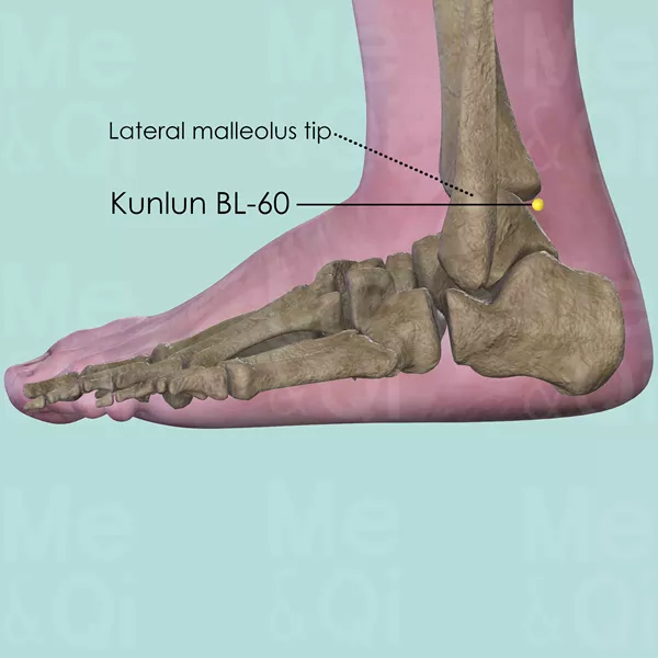 Kunlun BL-60 - Bones view - Acupuncture point on Bladder Channel