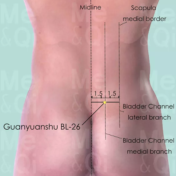 Guanyuanshu BL-26 - Skin view - Acupuncture point on Bladder Channel
