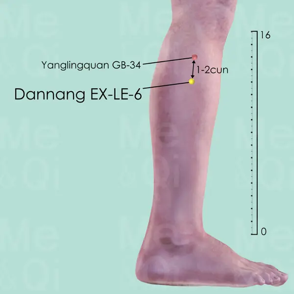 Dannang EX-LE-6 location