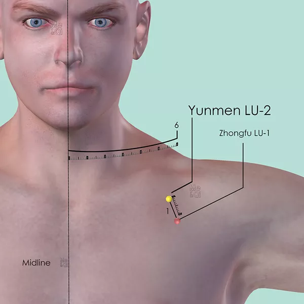 Yunmen LU-2 - Skin view - Acupuncture point on Lung Channel