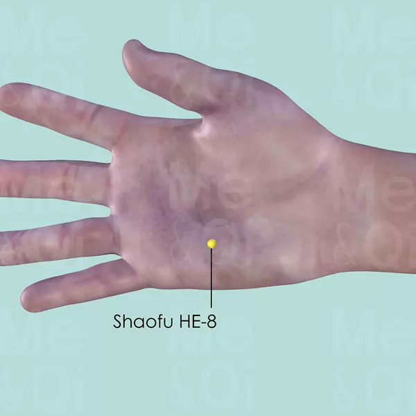 Shaofu HE-8 - Skin view - Acupuncture point on Heart Channel
