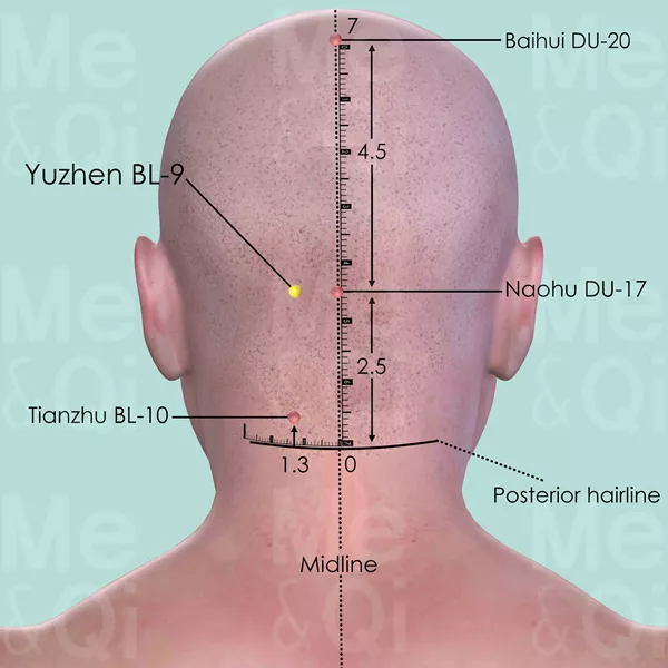 Yuzhen BL-9 - Skin view - Acupuncture point on Bladder Channel