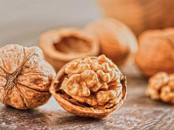 What Walnut looks like as a TCM ingredient