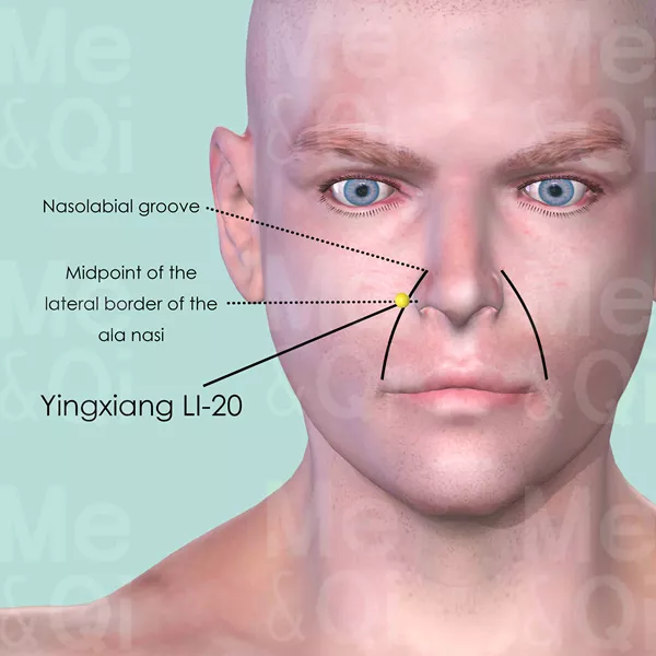 Yingxiang LI-20 - Skin view - Acupuncture point on Large Intestine Channel