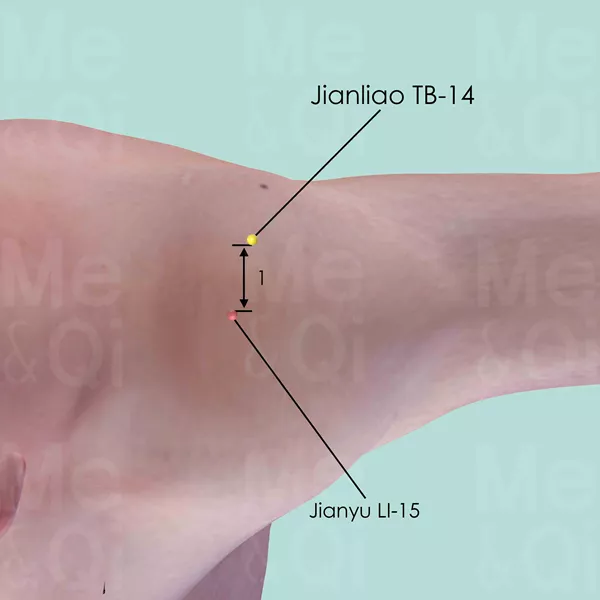 Jianliao TB-14 - Skin view - Acupuncture point on Triple Burner Channel