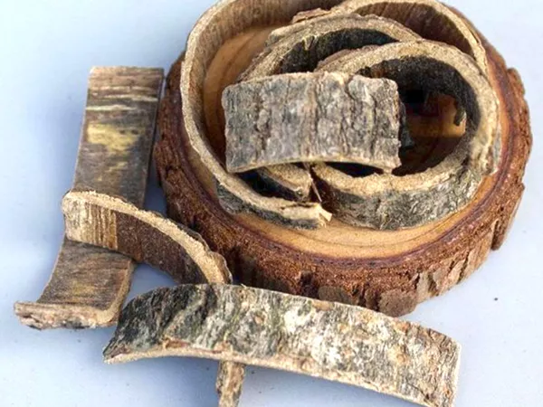 What Silktree albizia bark looks like as a TCM ingredient