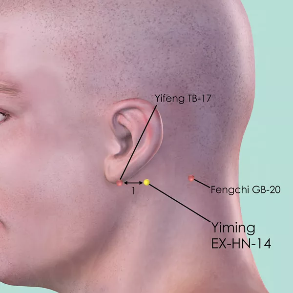 Yiming EX-HN-14 - Skin view - Acupuncture point on Extra Points: Head and Neck (EX-HN)