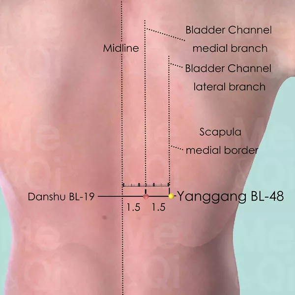 Yanggang BL-48 - Skin view - Acupuncture point on Bladder Channel