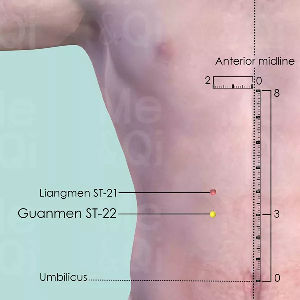 Guanmen ST-22 - Skin view - Acupuncture point on Stomach Channel
