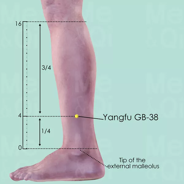 Yangfu GB-38 - Skin view - Acupuncture point on Gall Bladder Channel