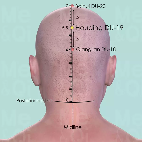 Houding DU-19 - Skin view - Acupuncture point on Governing Vessel