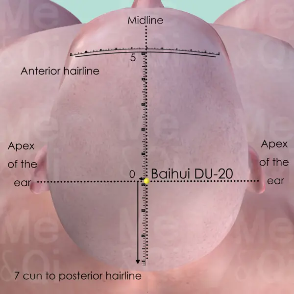 Baihui DU-20 location