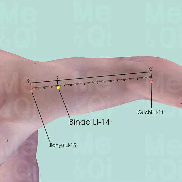 Binao LI-14 - Skin view - Acupuncture point on Large Intestine Channel