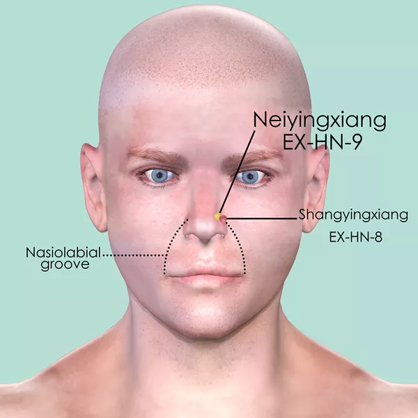 Neiyingxiang EX-HN-9 - Skin view - Acupuncture point on Extra Points: Head and Neck (EX-HN)