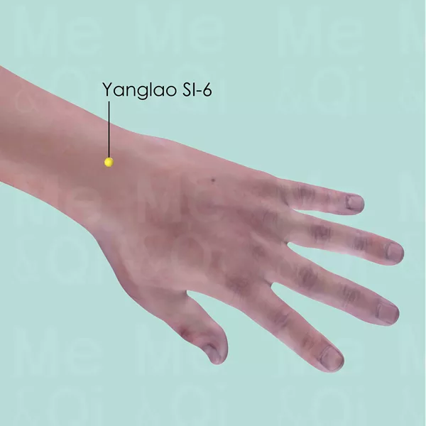 Yanglao SI-6 - Skin view - Acupuncture point on Small Intestine Channel