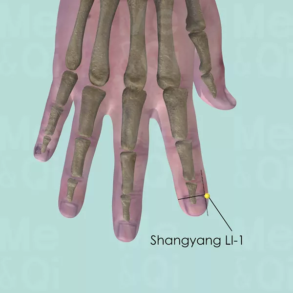 Shangyang LI-1 - Bones view - Acupuncture point on Large Intestine Channel