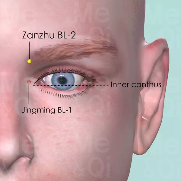 Zanzhu BL-2 - Skin view - Acupuncture point on Bladder Channel