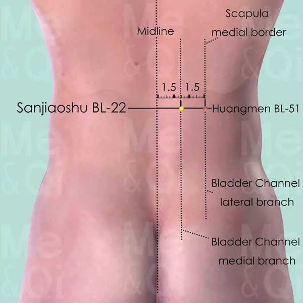Sanjiaoshu BL-22 - Skin view - Acupuncture point on Bladder Channel