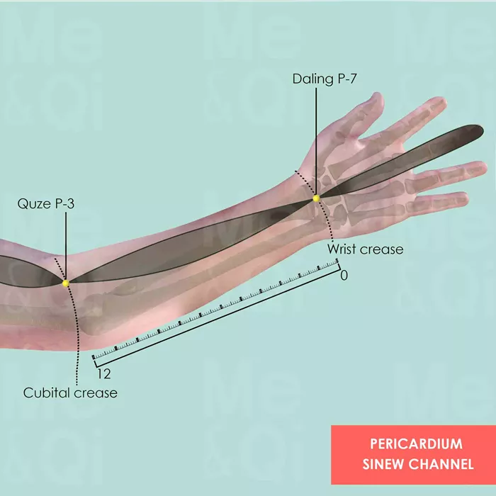 Pericardium Sinew Channel