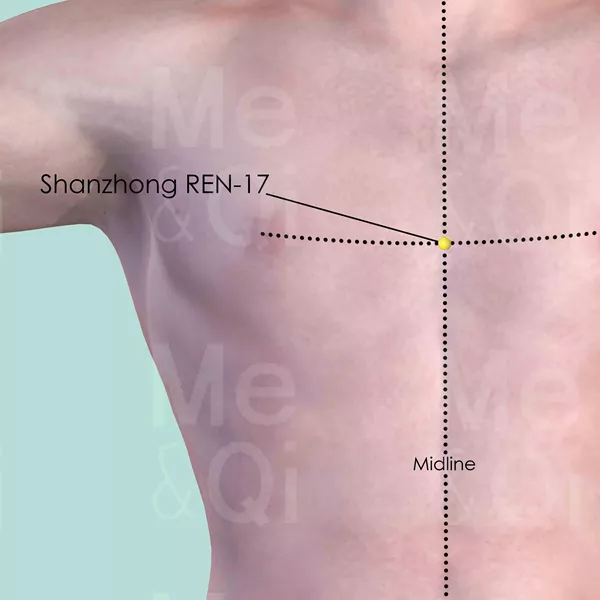 Shanzhong REN-17 - Skin view - Acupuncture point on Directing Vessel