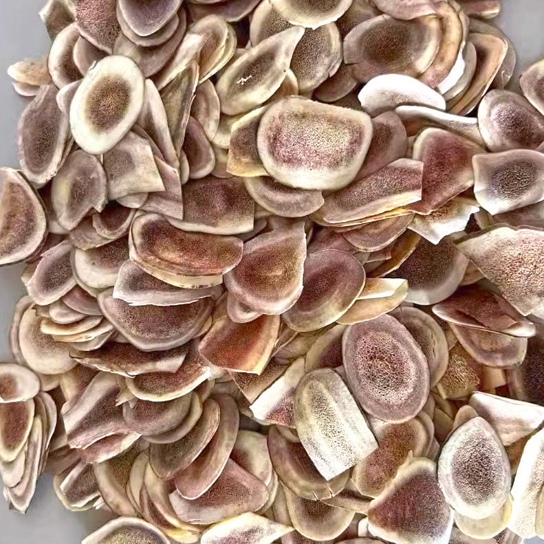 Lù Jiǎo (Deer antler) as TCM ingredient