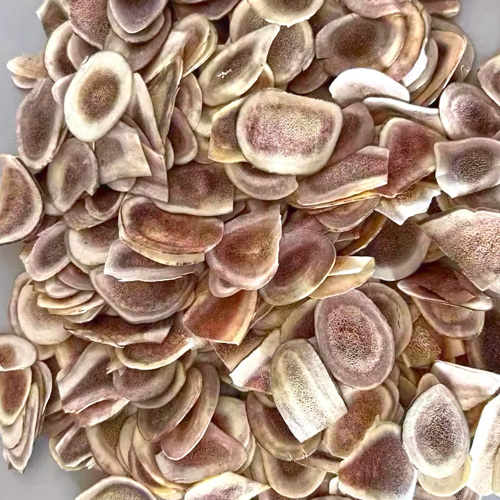 Lù Jiǎo (Deer antler) as TCM ingredient