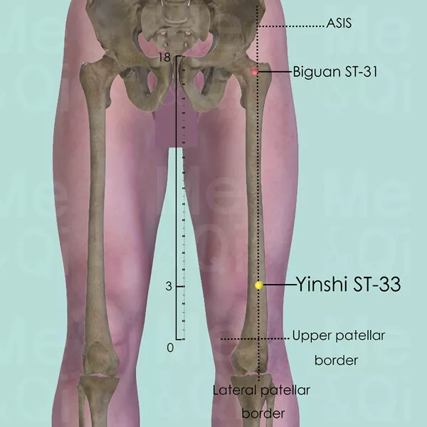 Yinshi ST-33 - Bones view - Acupuncture point on Stomach Channel