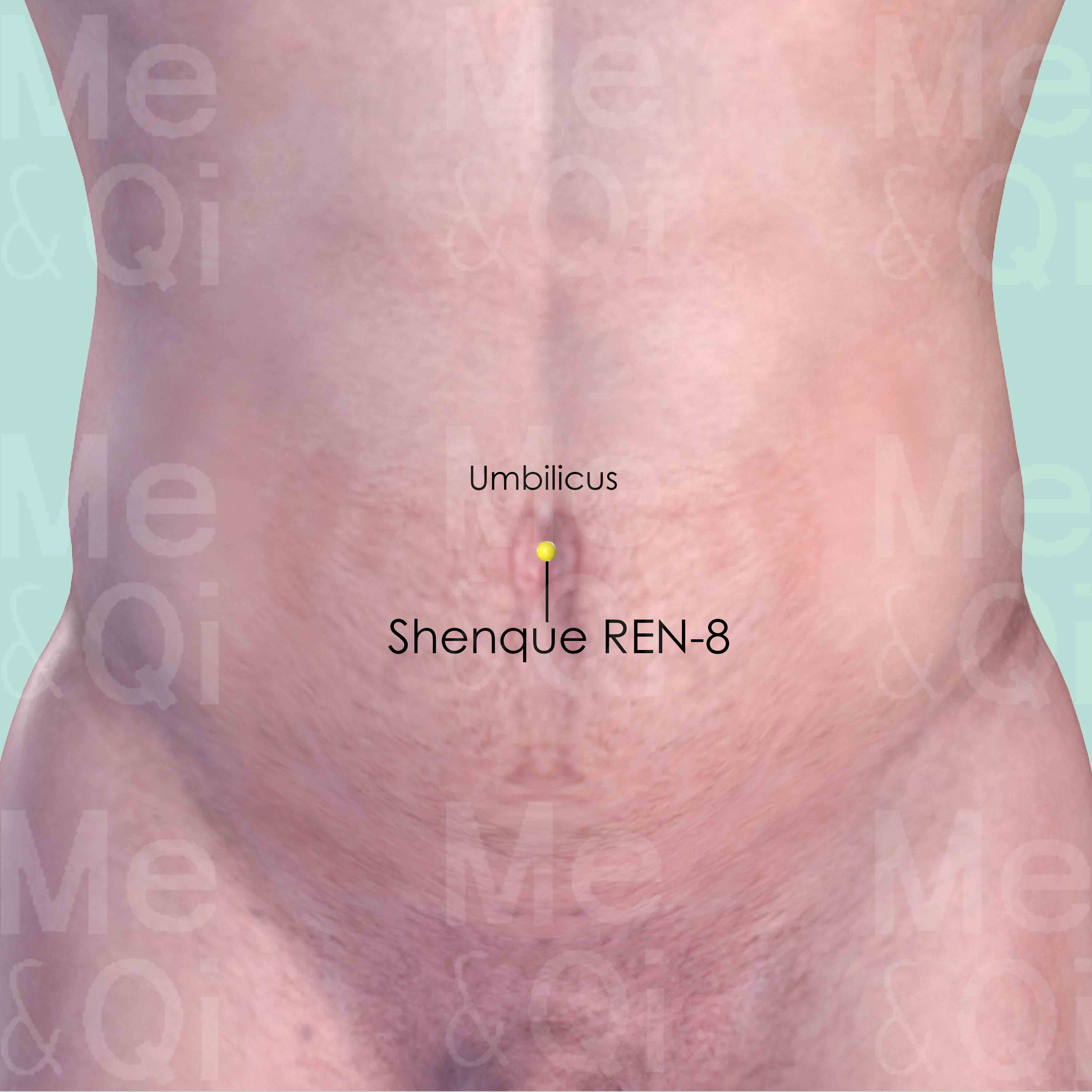 Shenque REN-8